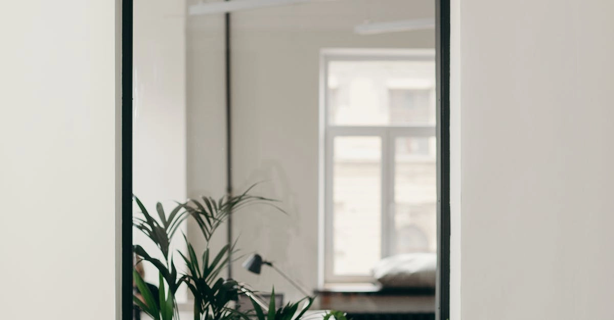 Немецкие игорные сайты онлайн в борьбе за цифровое превосходство